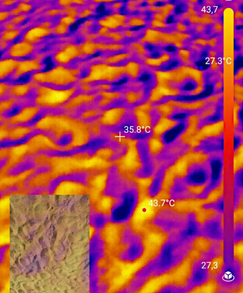 Photo: Grüne Monheim Archiv